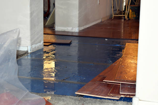 Professional Burst Pipe Cleanup technician working in Freeport, MI