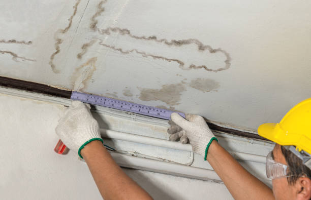 Reliable Burst Pipe Cleanup contractor in Freeport, MI by Local Water Damage Repair